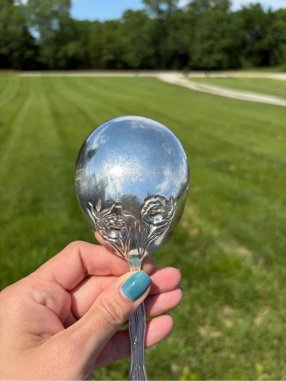WR Keystone Oneida Silverplate Carnation 8.75 Inch Solid Smooth Casserole Spoon